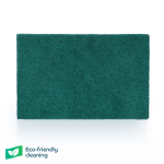 23X15CM TUFFGUY SCOURER ABBEY GREEN(1=1 Scourer,10=1 PACK)