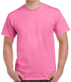 GD02 Gildan Ultra Cotton T-Shirts Azalea