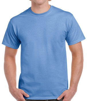 GD02 Gildan Ultra Cotton T-Shirts Carolina Blue