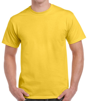 GD02 Gildan Ultra Cotton T-Shirts Daisy