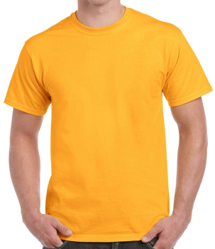 GD02 Gildan Ultra Cotton T-Shirts Gold