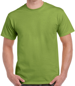 GD02 Gildan Ultra Cotton T-Shirts Kiwi