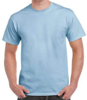 GD02 Gildan Ultra Cotton T-Shirts Light Blue