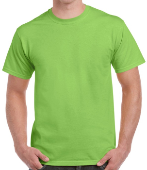 GD02 Gildan Ultra Cotton T-Shirts Lime