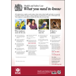 A3 HEALTH & SAFETY LAW POSTER 58140