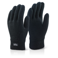 Thinsulate Glove
